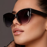 https://cdn.shopify.com/s/files/1/0978/3341/9127/files/1c7e5ccd25e044d180ce71cb75957d30-goods.jpg?v=1770026155